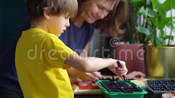 男孩和父母一起在黑土上种植蔬菜小帮手视频的预览图