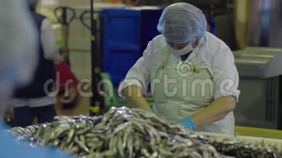 多利的鱼串在一个烤串上吸烟海洋食品制造养鱼场工厂食品加工鱼视频的预览图