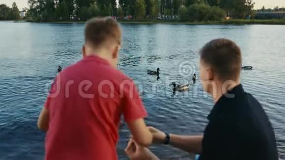 父亲和儿子喂鸭子视频的预览图