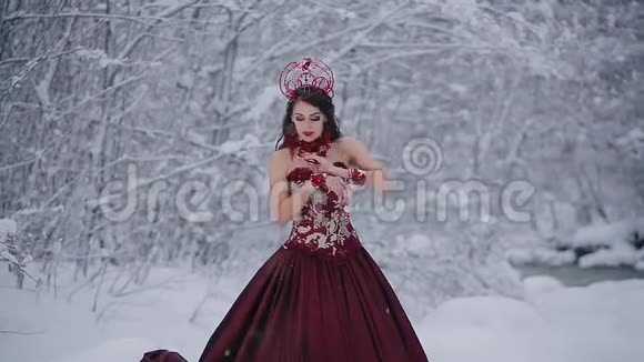 穿着红色皇室礼服的童话形象可爱的年轻女子站在雪地里视频的预览图