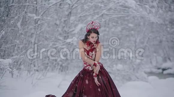 穿着红色皇室礼服的童话形象可爱的年轻女子站在雪地里视频的预览图