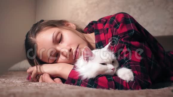小女孩和一只白猫睡在沙发上猫幸福的脸特写视频的预览图