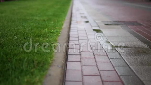 雨中一个人在草坪旁散步视频的预览图