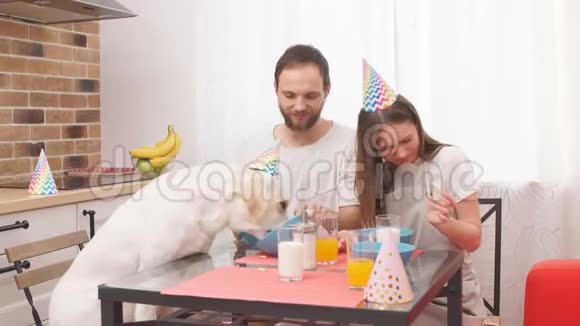 年轻的现代家庭在厨房里庆祝宠物的生日视频的预览图