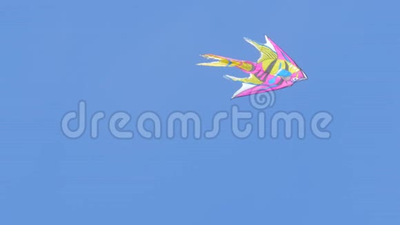 粉色卡通鱼的风筝视频的预览图