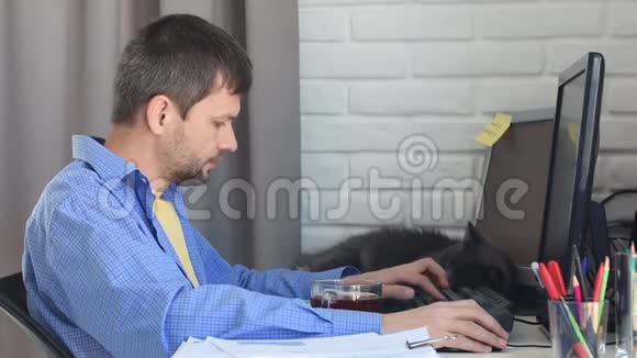 一个年轻人在家里的电脑里工作桌子旁边躺着一只深灰色的猫视频的预览图