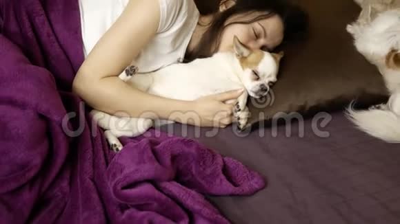 睡在卧室里和狗在床上的年轻女人视频的预览图