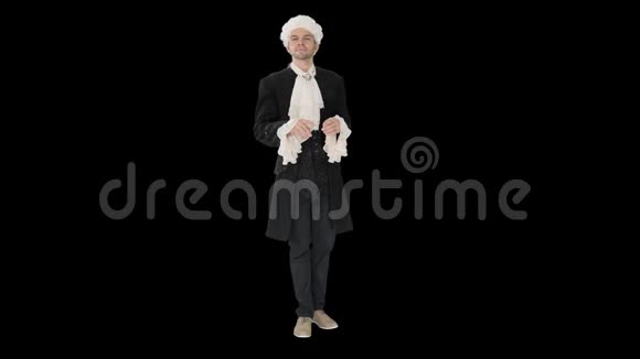 一个穿着朝臣或1819岁王子的礼服的男人阿尔法频道视频的预览图
