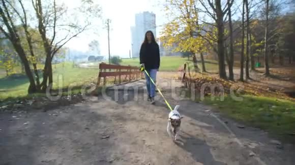 女孩带着宠物沿着秋天公园和城市建筑散步视频的预览图