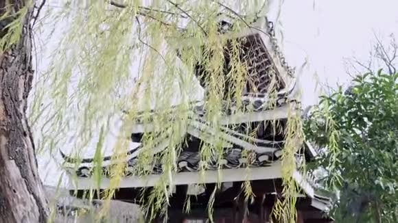 中国寺庙和柳树视频的预览图