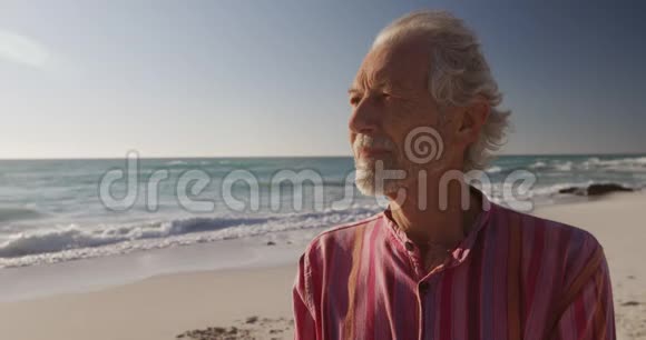 前景老人望着海滩视频的预览图