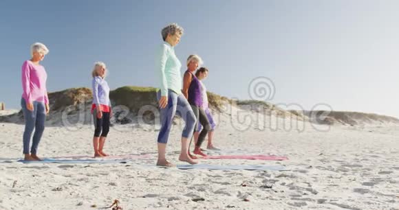 运动女性在海滩上做瑜伽视频的预览图