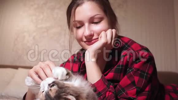 年轻女孩和一只猫躺在沙发上玩选择性重点视频的预览图