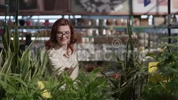 微笑年轻的女买家在眼镜视觉选择装饰植物花园和在家花店视频的预览图