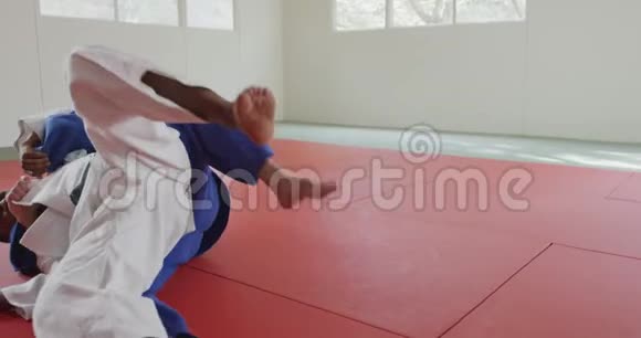 Judokas战斗和在地面上被固定视频的预览图
