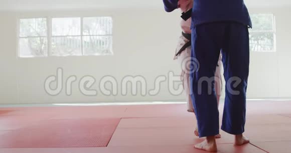 Judokas战斗和在地面上被固定视频的预览图