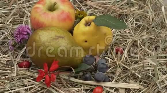 秋天的果实和干草中的花朵视频的预览图