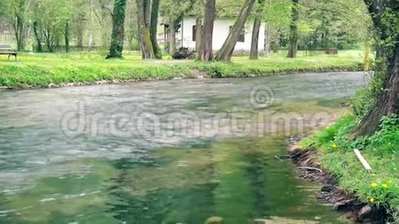 小河流经村庄视频的预览图