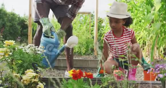 非裔美国人父亲和女儿给植物浇水视频的预览图