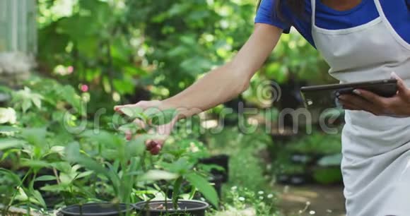 在植物园里用数码平板电脑的女人视频的预览图