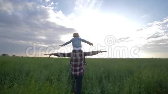 孩子坐在父母的肩膀上走在草地上玩飞机手臂举在背景天空的油菜田上视频的预览图
