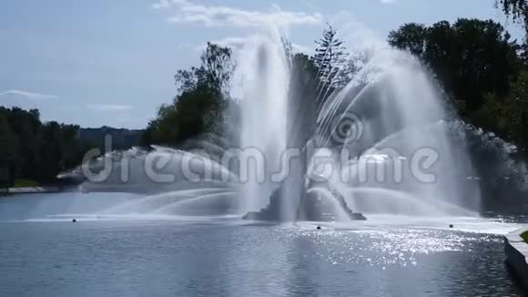 大喷泉的水射流在太阳背景光线下闪闪发光喷泉位于水面上孙恩视频的预览图
