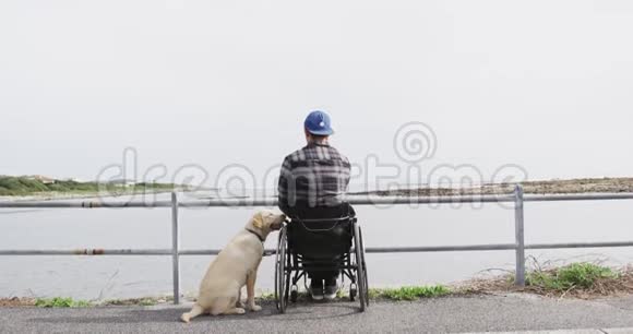 坐轮椅的人带着他的狗看着大海视频的预览图
