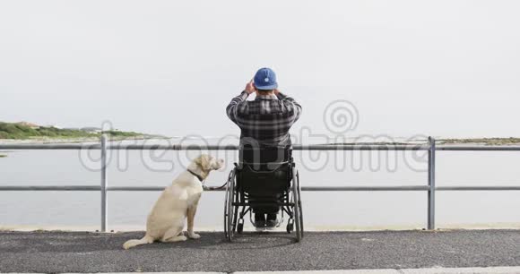 坐在轮椅上的人和他的狗一起给大海拍照视频的预览图