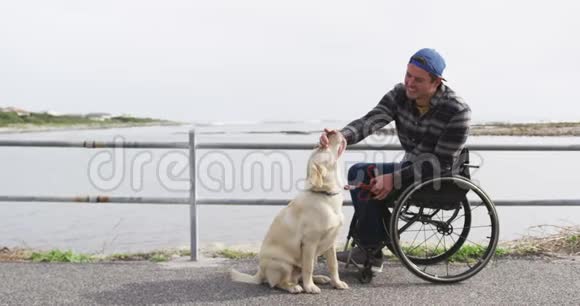坐在轮椅上的人和他的狗享受自由时光视频的预览图