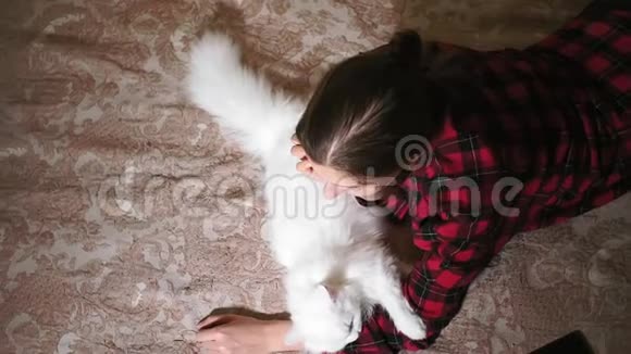 小女孩躺在床上抚摸着一只白猫真实的视频爱宠物视频的预览图
