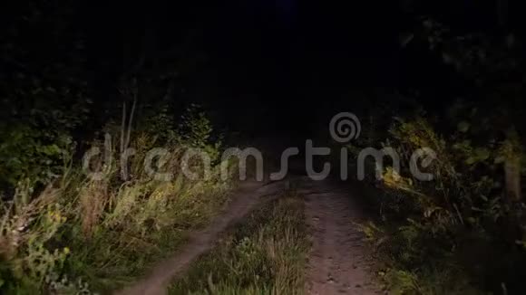 在布什的大灯照耀下在昏暗的乡村道路上行驶视频的预览图