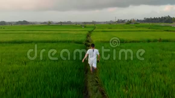 盖伊在印尼巴厘岛的水稻梯田里慢跑着视频的预览图