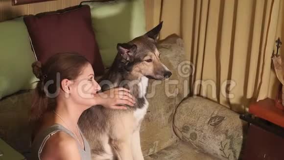 一个小女孩抚摸一只狗选择性聚焦宠物宠物视频的预览图