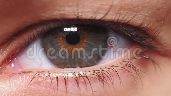一个年轻女人的特写美丽的灰色棕色眼睛眼球长长的黑色睫毛视频的预览图