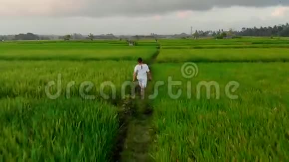 在印尼巴厘岛盖伊穿过水稻梯田视频的预览图