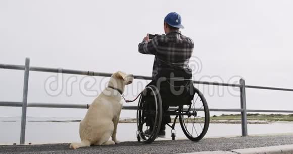 坐在轮椅上的人和他的狗一起给大海拍照视频的预览图