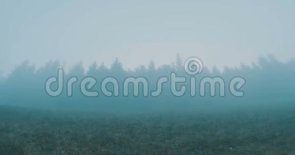 爬雾化森林视频的预览图