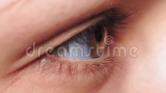 灰褐色的眼睛瞳孔的一个少女特写宏选择性聚焦极端宏观视频的预览图