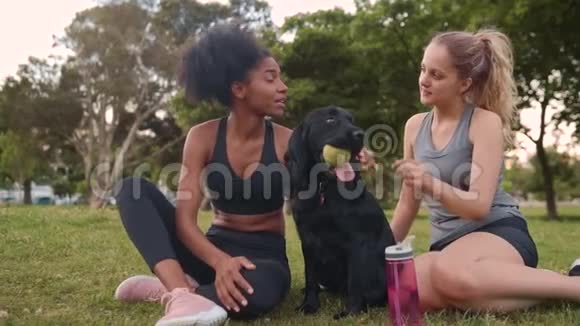 两名穿着运动服的年轻健身妇女在训练结束后与宠物狗一起放松视频的预览图