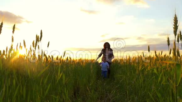 一个小男孩和他的母亲在一片金色的麦子里奔跑在大自然中玩耍视频的预览图