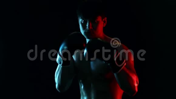 暗箱概念拳击手戴手套的人在黑色背景上与阴影搏斗个人体育娱乐活动Teal视频的预览图