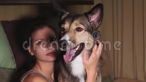 狗画像特写看镜头小女孩抚摸一只狗视频的预览图