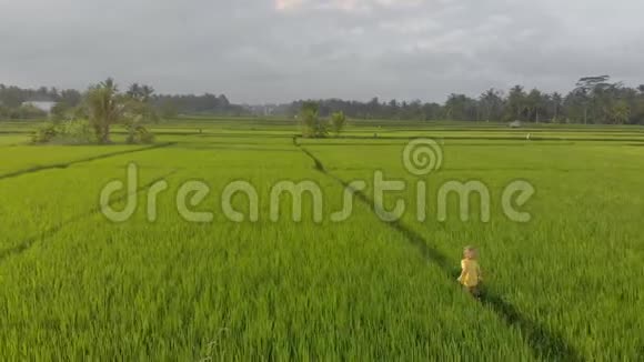 一个小男孩穿过一片美丽的稻田的航拍镜头东南亚概念旅行视频的预览图