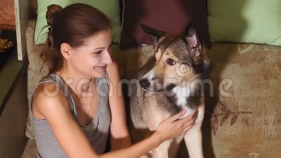小女孩笑着抚摸狗选择性聚焦玩宠物用手射击家庭录像视频的预览图