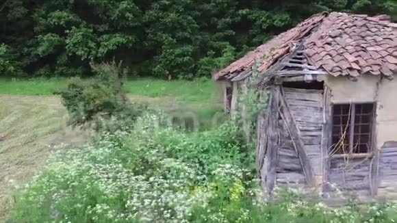 在森林里的老房子和废弃的房子旁边低空中视频的预览图