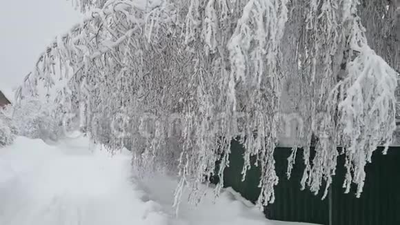 白雪皑皑的村庄之路视频的预览图