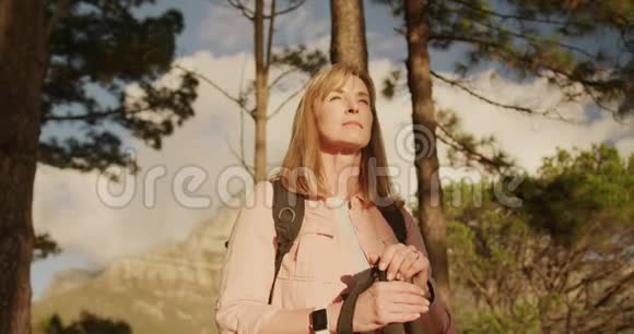 活跃的高级妇女在森林徒步旅行视频的预览图