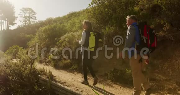 活跃的高级夫妇在森林徒步旅行视频的预览图