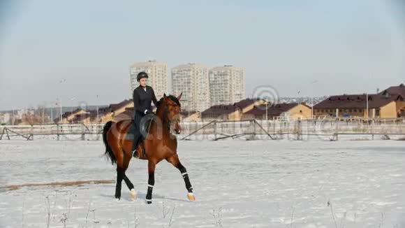 骑马身穿黑色衣服的骑手在雪地上骑马视频的预览图