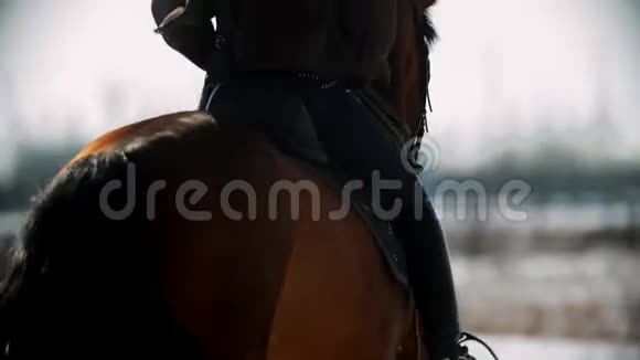骑马年轻的女骑手骑着马疾驰视频的预览图
